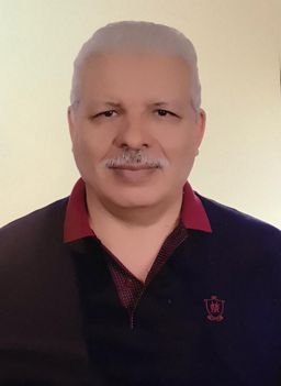 Professor El Ansari